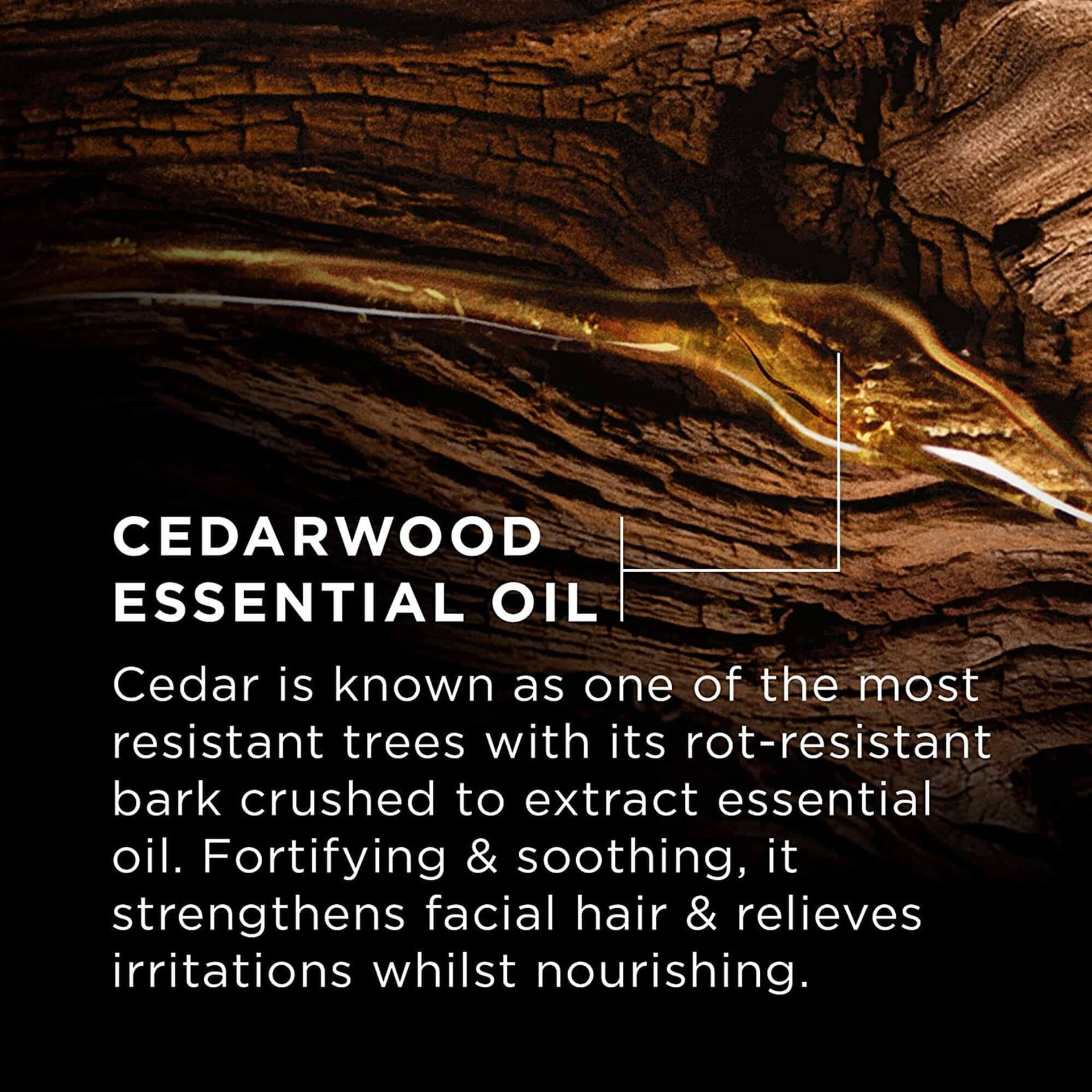 BarberClubKit ComplimentaryImg CedarWood web